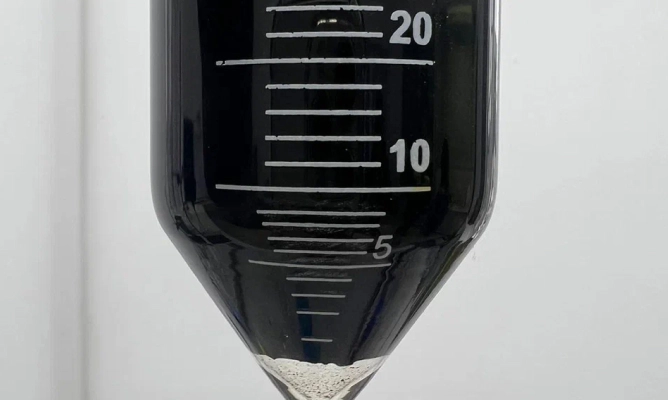 Slide 7
